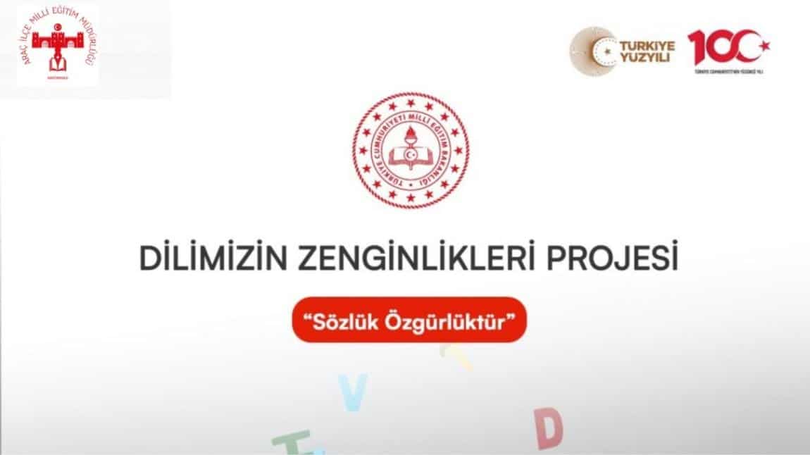 Dilimizin Zenginlikleri Projesi Nedir?