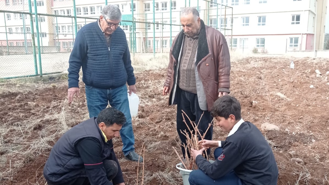 Okul Bahçemizdeki Bitki Çeşitliği Artıyor